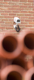 TP CCTV proves guilt of plasterboard wrecker