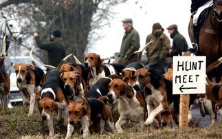 Countryside in uproar as Gov accelerates plan to ban trail hunting