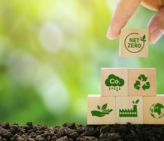 Carbon offsetting and the SBTi: How to solve a problem like corporate supply chain emissions