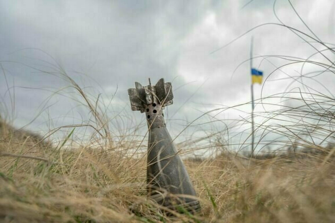 How unexploded bombs cause environmental damage - and why climate change exacerbates the problem