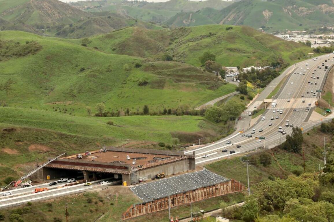 First layers of soil to be laid on Annenberg Wildlife Crossing in L.A.