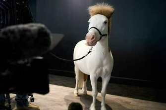 Behind the scenes of the Raiders' 2025 schedule release video