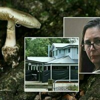 Two books on the mushroom trial are already cooking. What are the risks and rewards of fast books on big news?