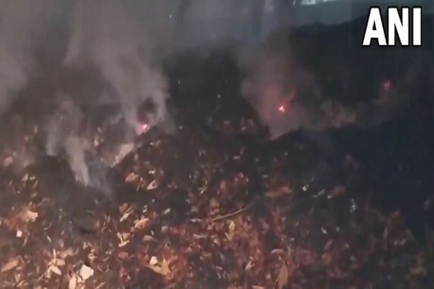 Fire breaks out in Sanjay Lake Forest in Delhi