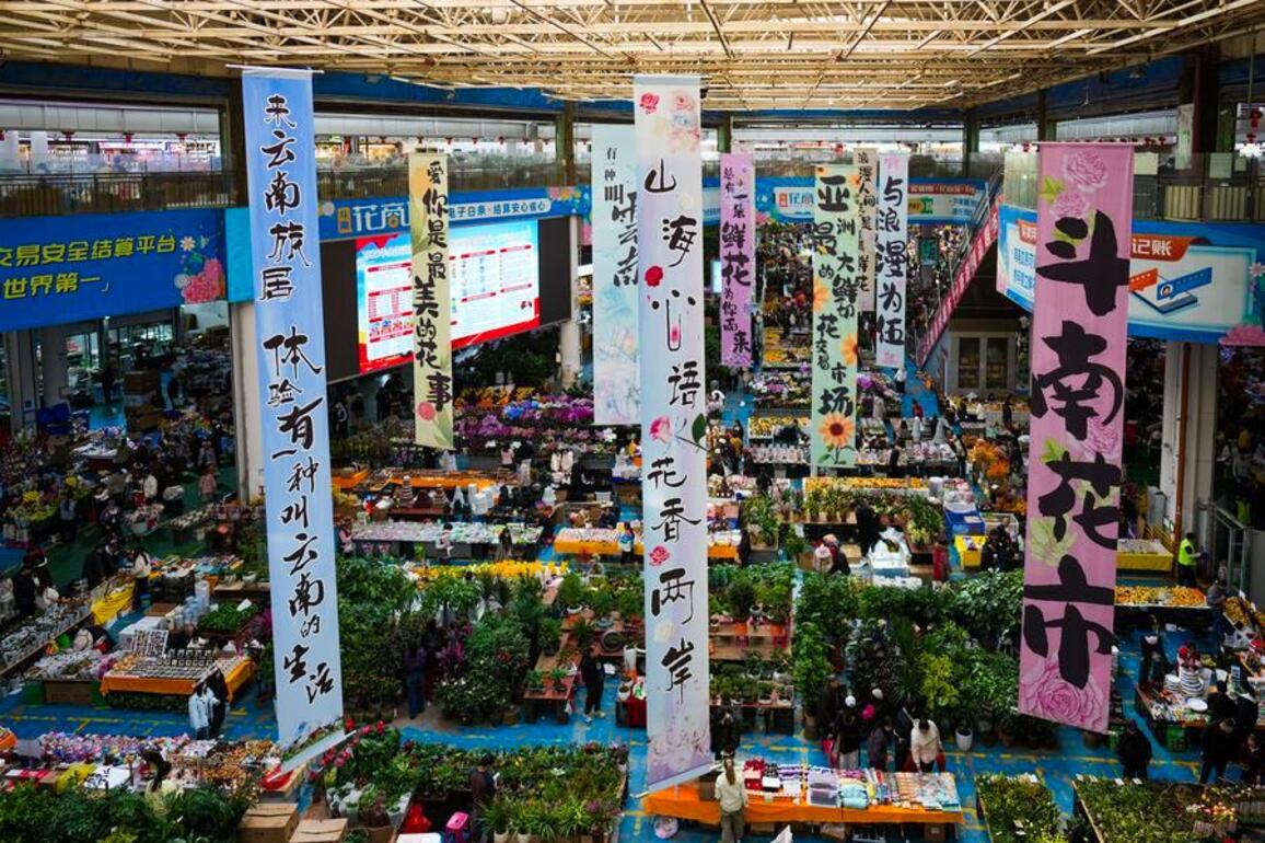 InPics | Kunming's Dounan Flower Market heats up as New Year is drawing near