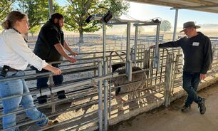 Members of the project team conducting initial system testing at CSIRO's Chiswick Research Station, Armidale, NSW. 
