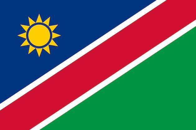 Feature: Sweet jam brings delightful life to Namibians