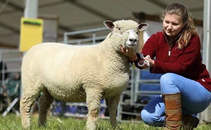 Young farmer focus: Phillipa Gray - "A change in attitudes could mean wool is on the verge of a comeback."