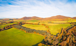 Letters: "Rural Scotland matters. It is time those in power acted like it"