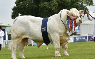 Royal Highland Show: Charolais crowned king of beef inter-breed