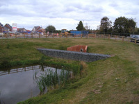 Delays put dampener on SuDS