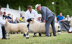 Texel takes top honours at Bath and West Show 