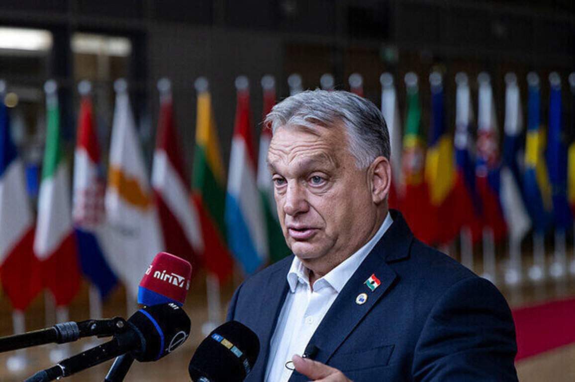 Funding Kievs war mafia is like vodka for an alcoholic  Orban