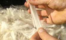 Being able to trace fibres in the supply chain is a focus of AWI. 