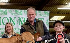  A round up of livestock sales from around the UK