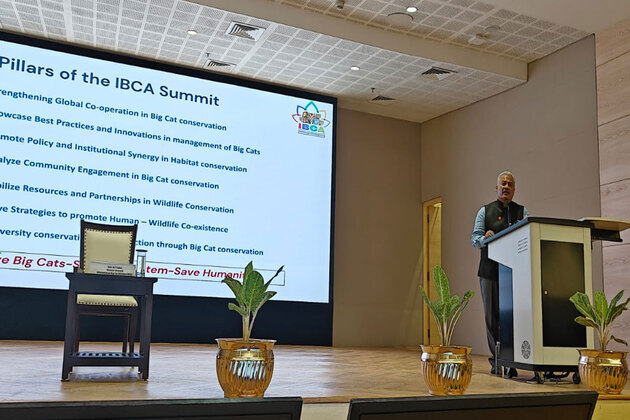 First International Big Cat Alliance Summit rescheduled amid 4th India-Africa Forum delay due to Ebola outbreak