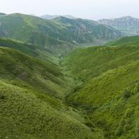 CHINA-NINGXIA-LIUPAN MOUNTAINS-ECOLOGICAL BARRIER (CN)