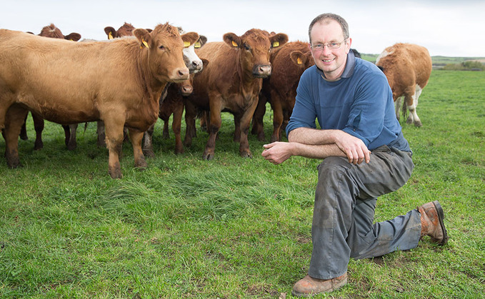 Adapting cow nutrition to improve colostrum quality and reduce calf mortality