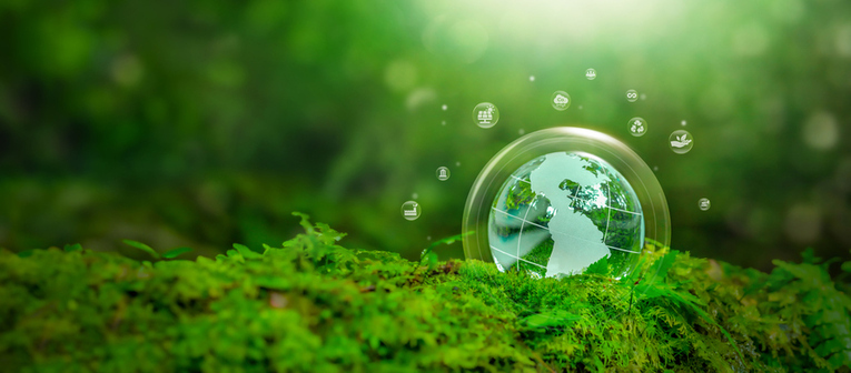 Net zero stewardship programme in 2025: Mid-year insights