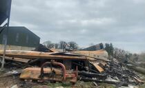 More than 1,000 pigs killed in fire at Dungannon farm building