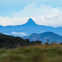 SRI LANKA-NUWARA ELIYA-HORTON PLAINS NATIONAL PARK