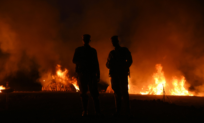 Kenya torches world's biggest ivory bonfire Kenya torches world's biggest ivory bonfire
