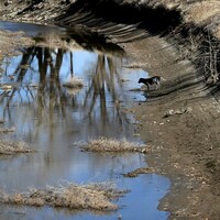 Water finite resource; unchecked growth in Colorado is unending drain
