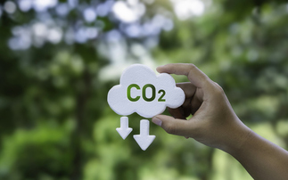 Study: UK could be 'global capital' for carbon credit industry