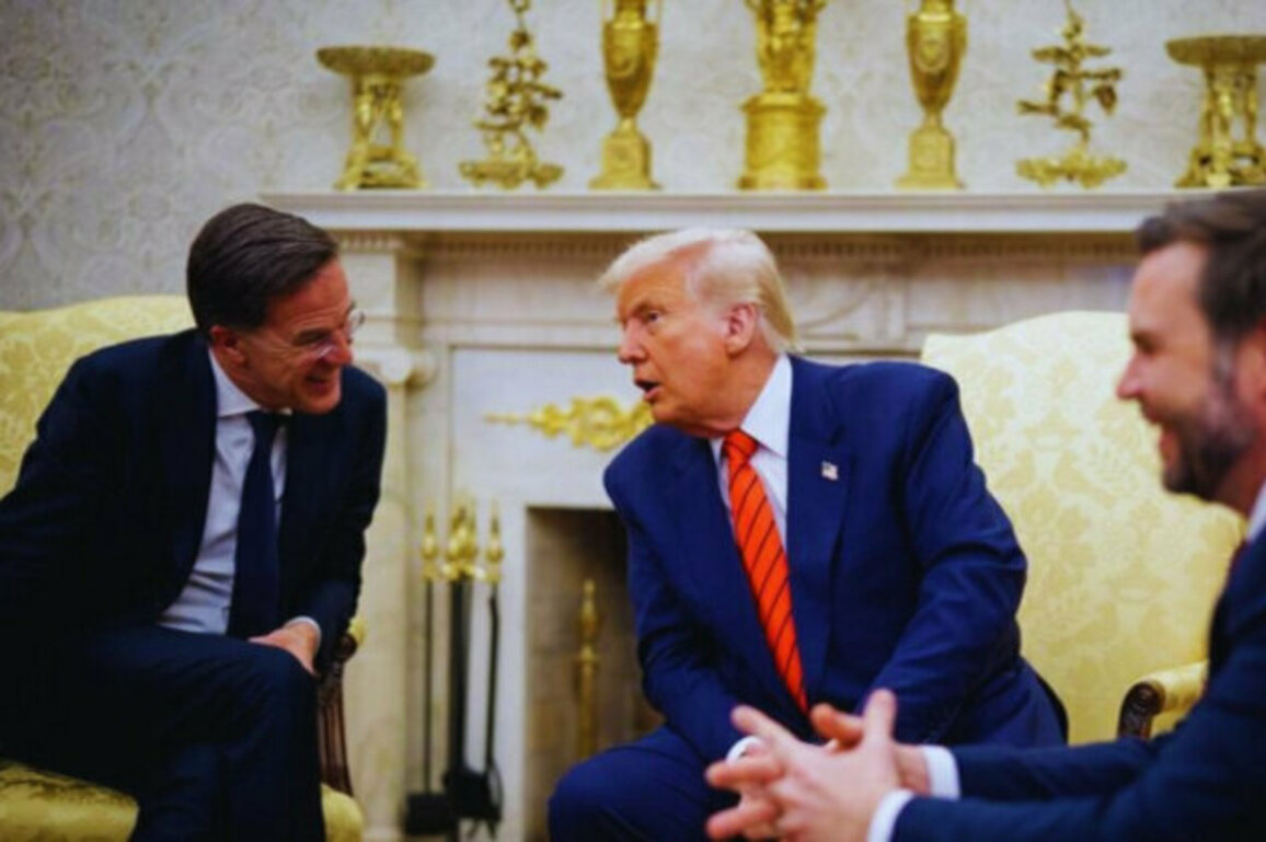 Rutte: NATO Must Normalize Relations with Russia After War