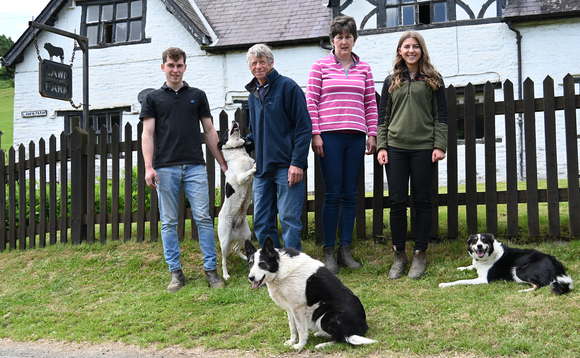 Beulah Speckled Face sheep form foundation of Welsh family's quality livestock enterprise