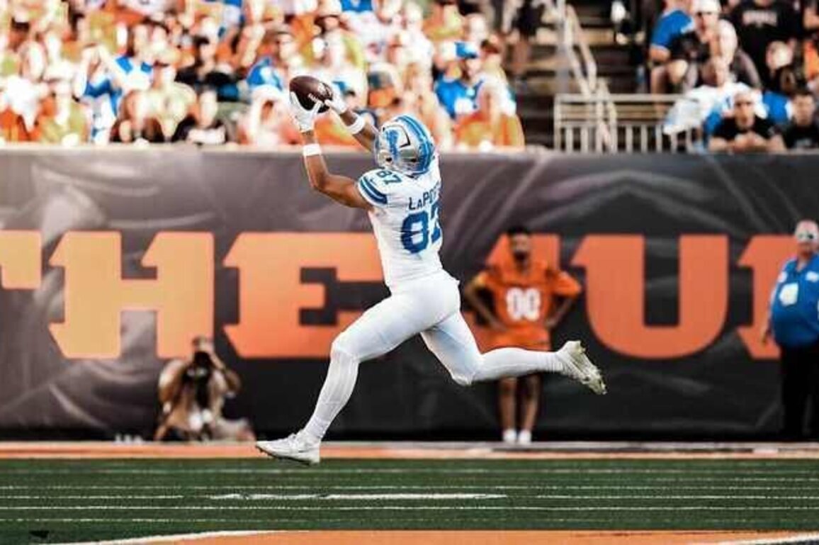 2025 position breakdown: Tight ends
