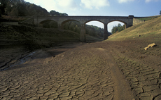 How 'chronic' UK nature degradation could cut GDP growth by 4.7 per cent this decade
