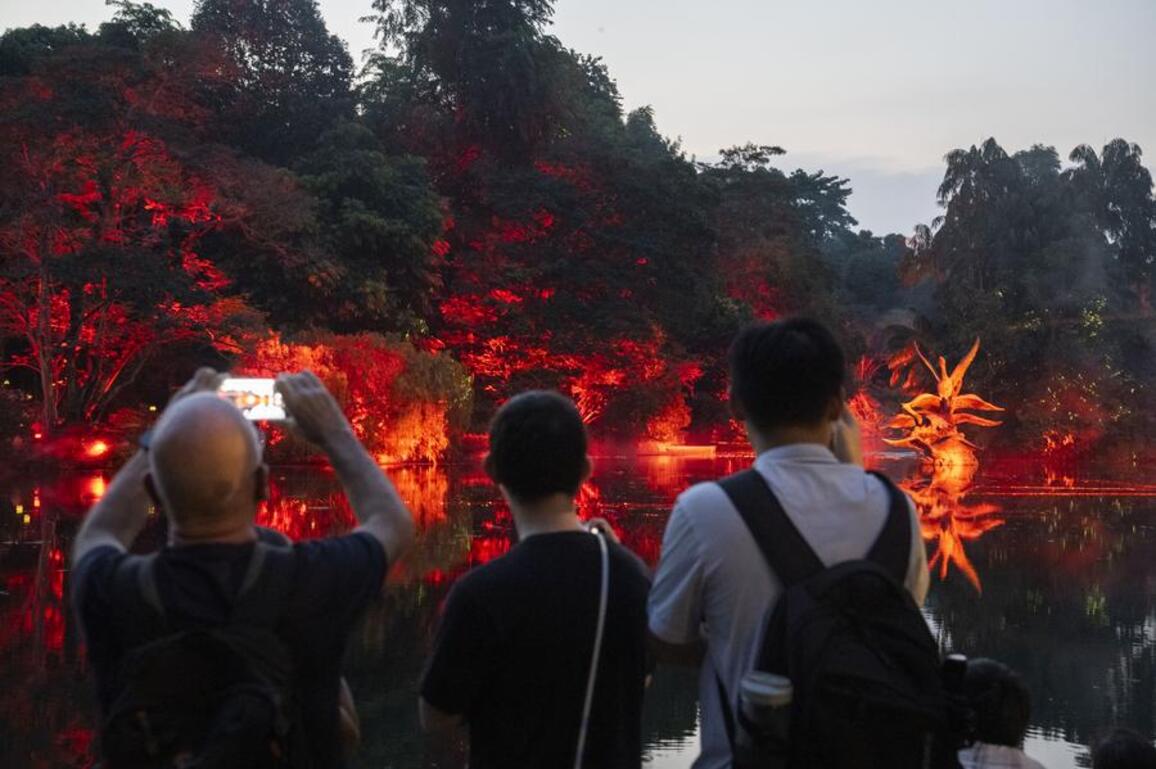 Asia Album: Highlights of light show in Singapore