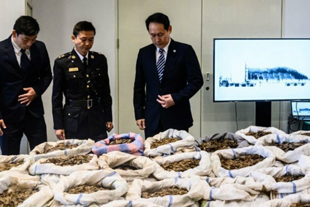 Record Pangolin Seizures in Asia Highlight Risk to Obscure Creature