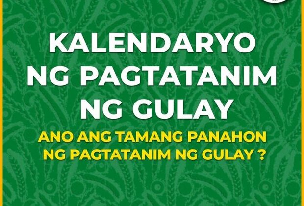 FEATURE: Alamin ang &#039;Tamang Panahon&#039; ng pagtatanim ng gulay