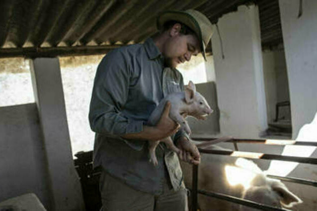 Zimbabwe compensates white farmers