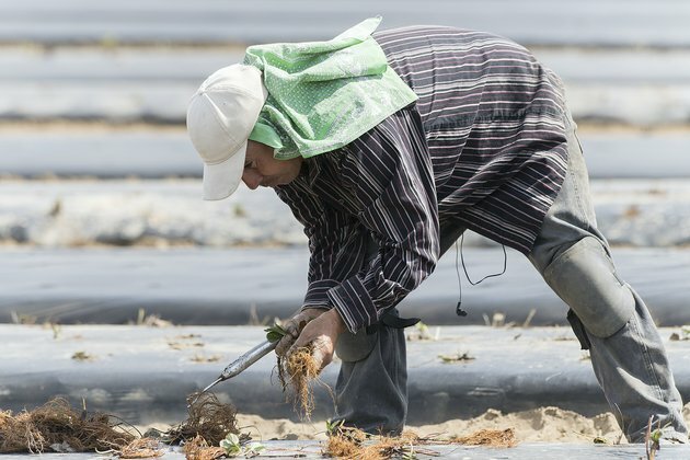 Rethinking the boundaries between economic life and coronavirus death