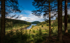 Morten Nilsson - Are DB pensions finally out of the woods?