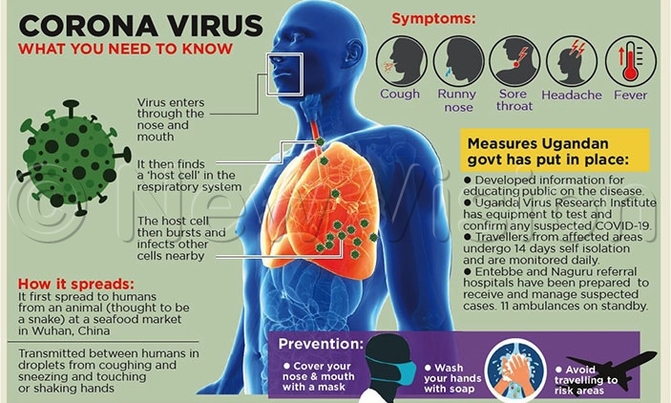 Coronavirus may never go away: WHO Coronavirus may never go away: WHO