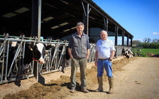 Dairy special: EcoFeed is part of the plan to drive genetic efficiency in dairy cattle