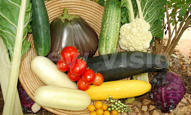 Diet guidelines 'biased against poor nations' Diet guidelines 'biased against poor nations'