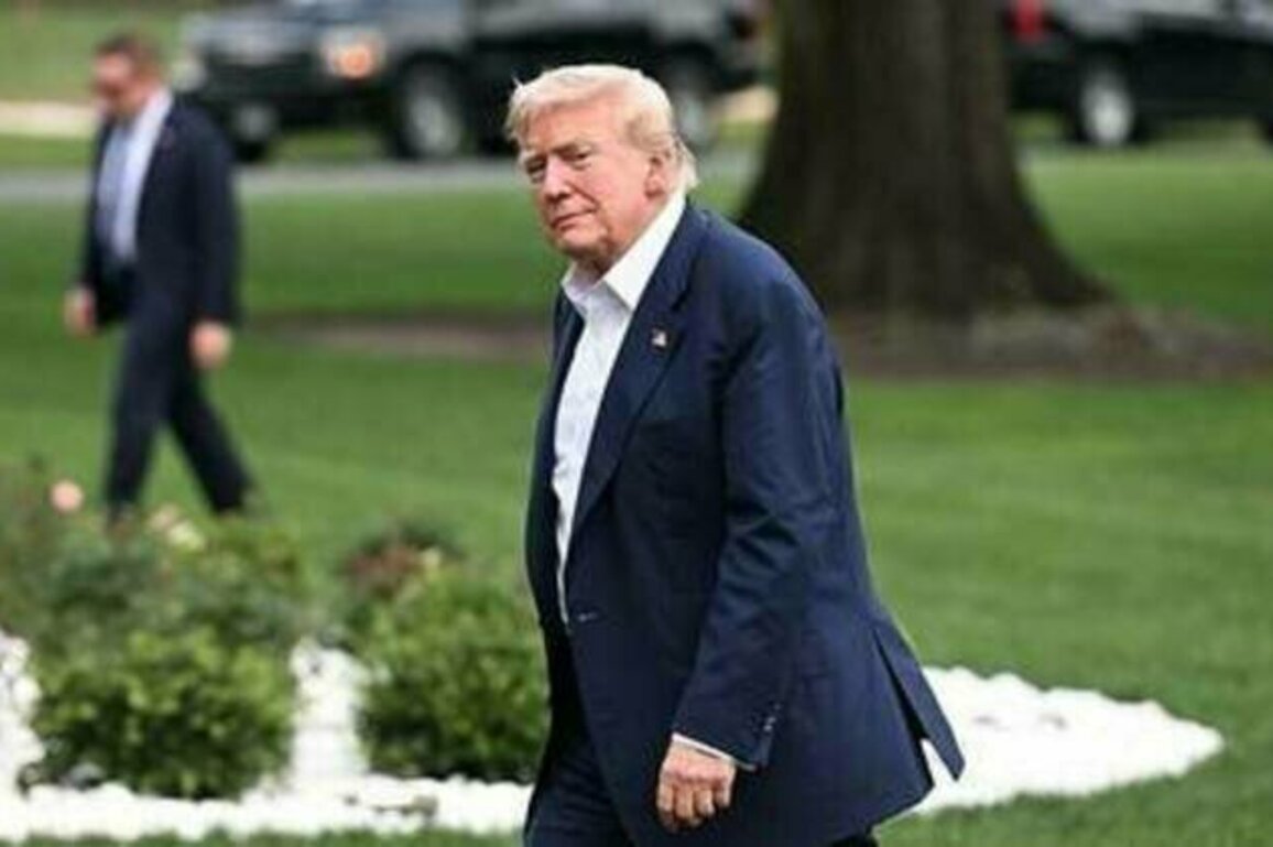 US could offer Russia enormous economic deal - Politico
