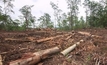 Qld land clearing laws fail, farmers relieved