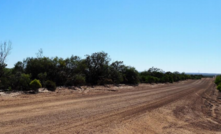  Mt Adams road access to Beharra