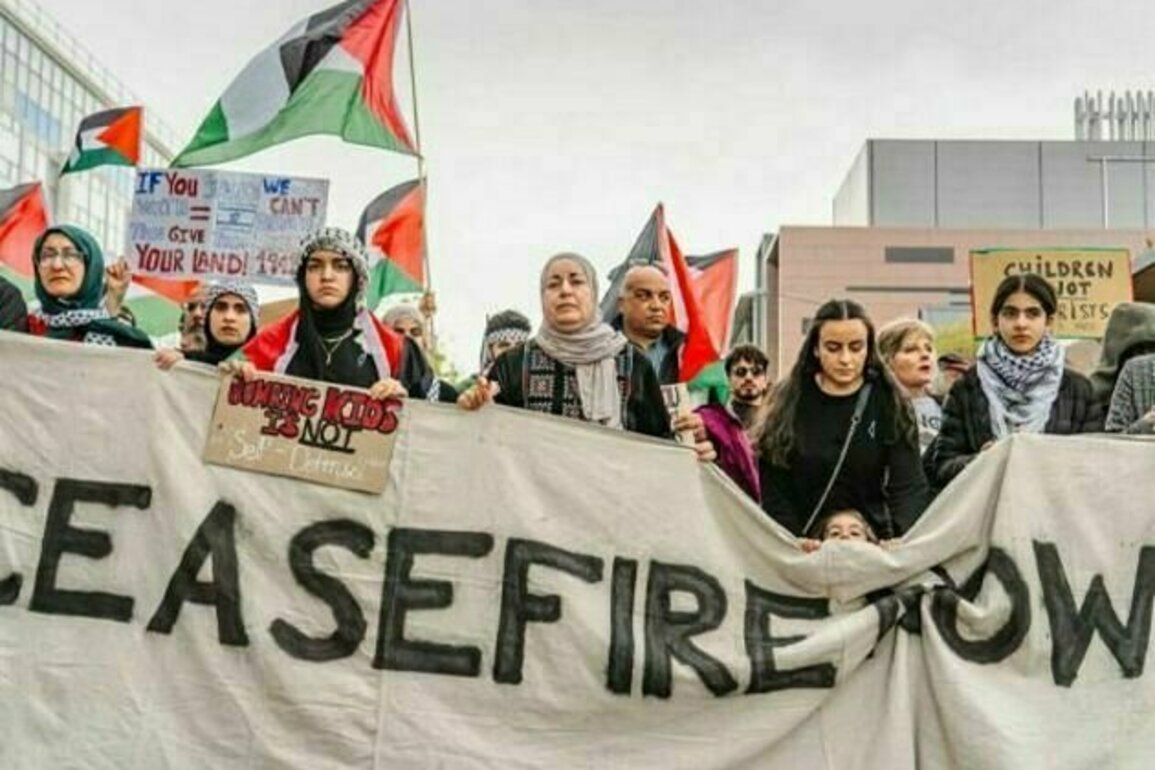 Busting a myth: Australian Jews not united on Gaza