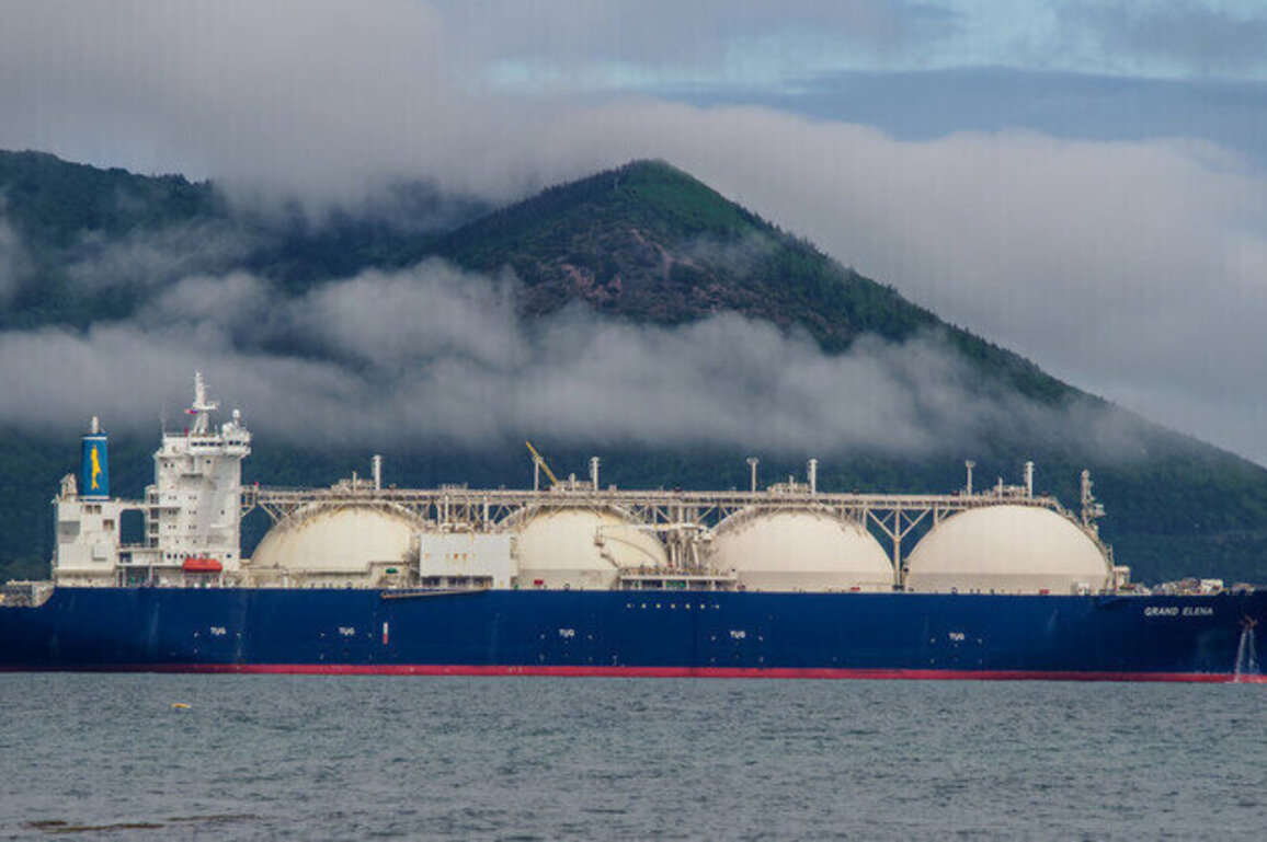 Russian gas exports to China soar  data