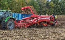 Learning lessons from a mixed potato season