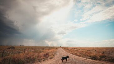 Parts of drought-impacted southern Australia have received much needed rain. 