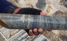 Drill core from Azure Minerals' Oposura property
