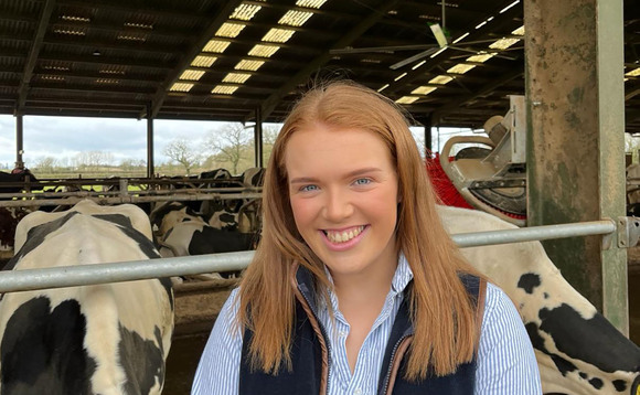 Young Farmer Focus - Kirsten Henry: "It is not about the size of farms or the number of cows a farmer manages, instead, it is about the people behind these businesses"